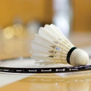 Badminton